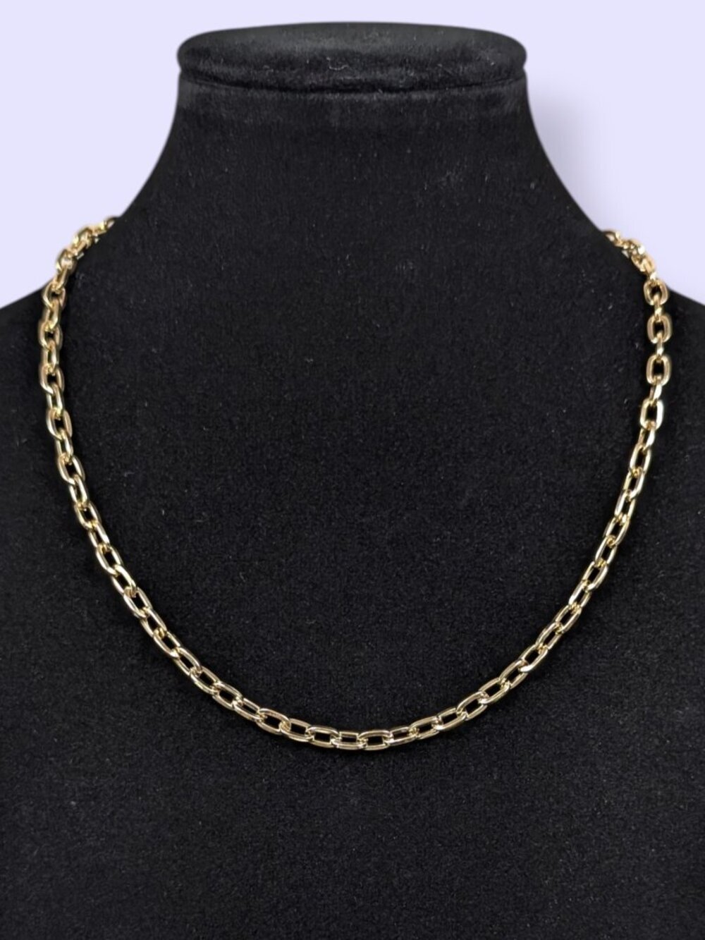(2/$20) Gold Tone Narrow Oval-Link Chain Necklace